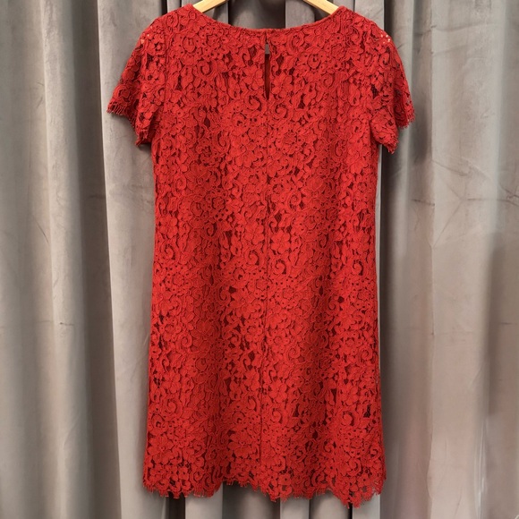 Stunning Zara Crochet Lace Short Sleeve Sheath Dress | Medium - Picture 2 of 12